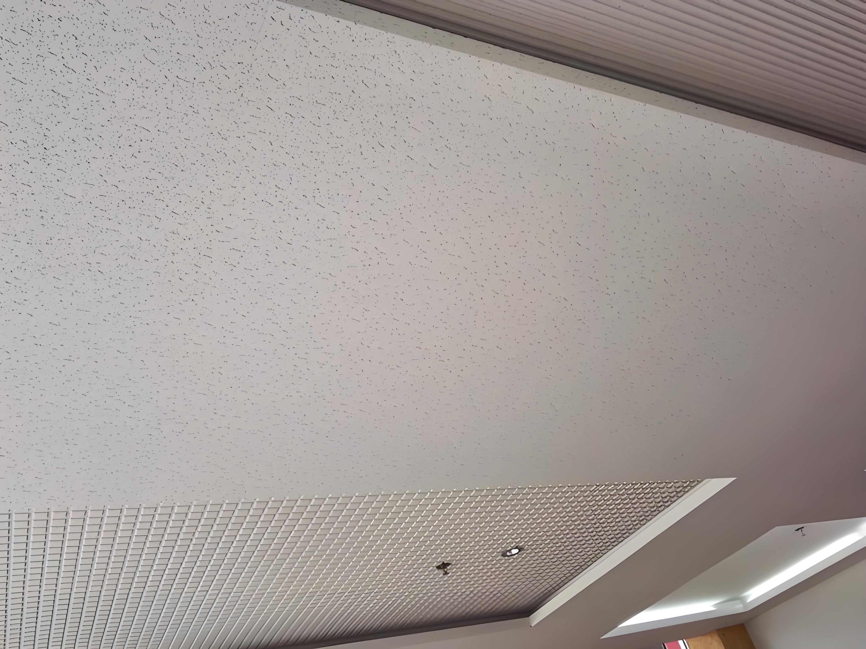 Mineral wool ceiling tile.jpeg