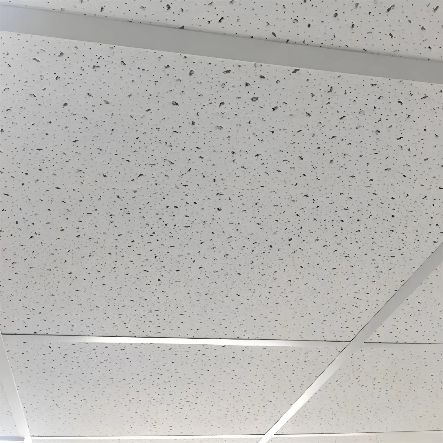 553c8969-e43b-43fb-b095-a0cdb938452f