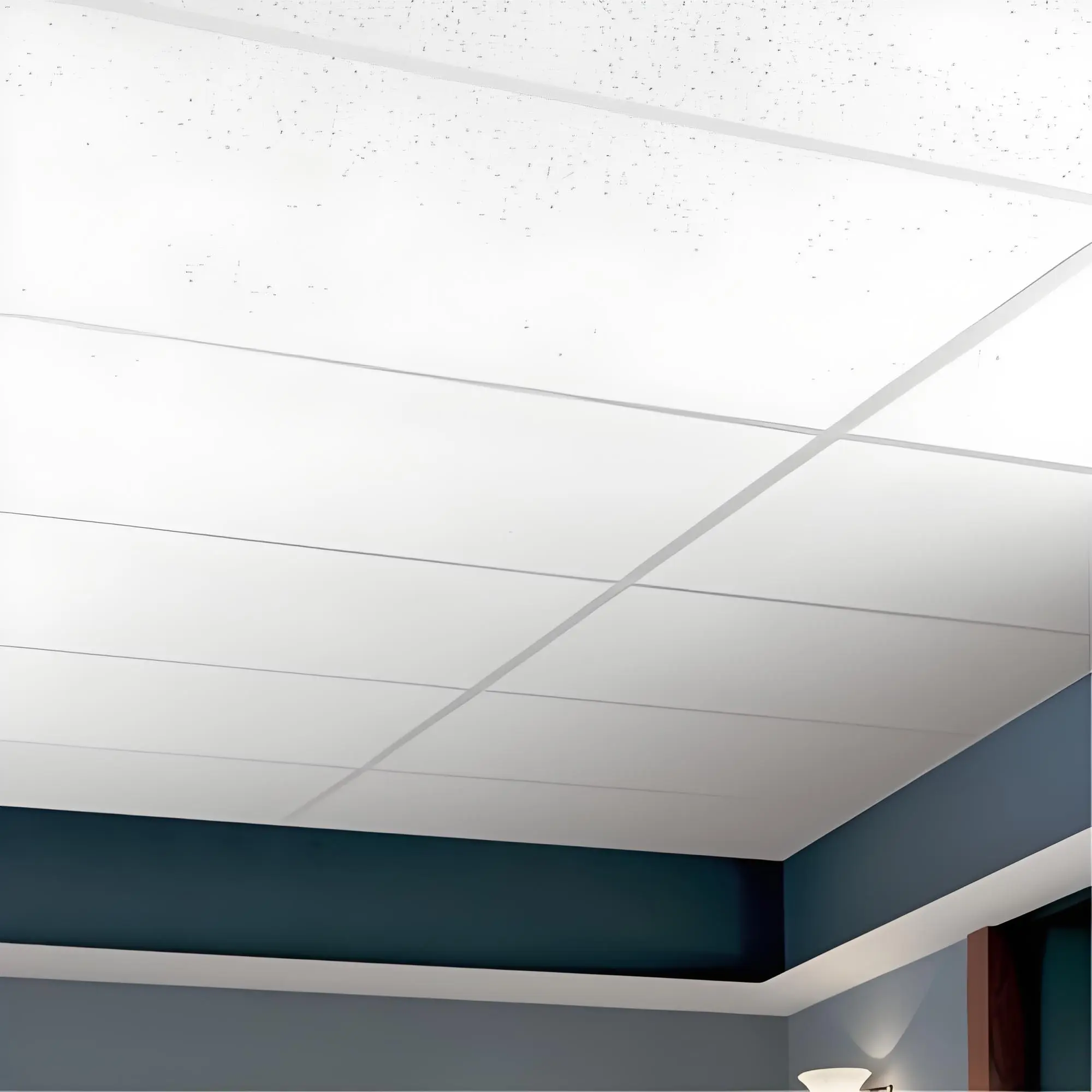 Mineral wool ceiling tile (2).jpeg