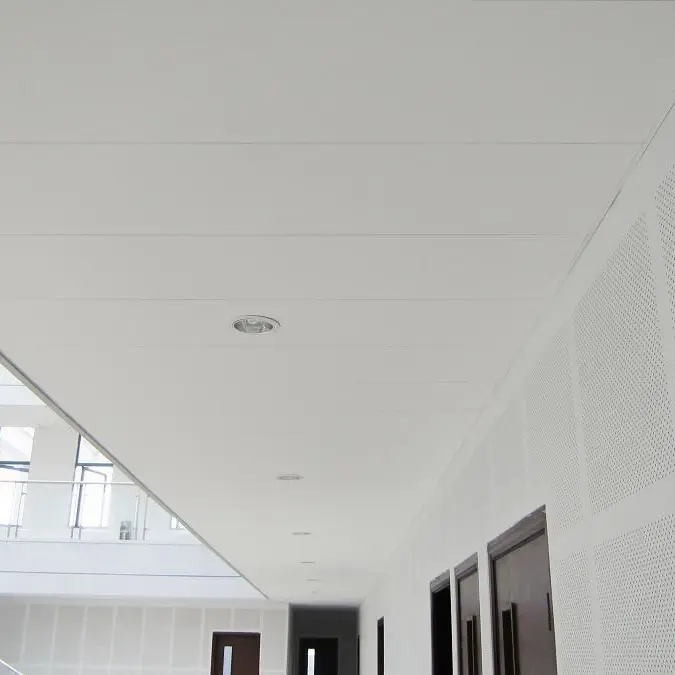 Mineral Wool Ceilings