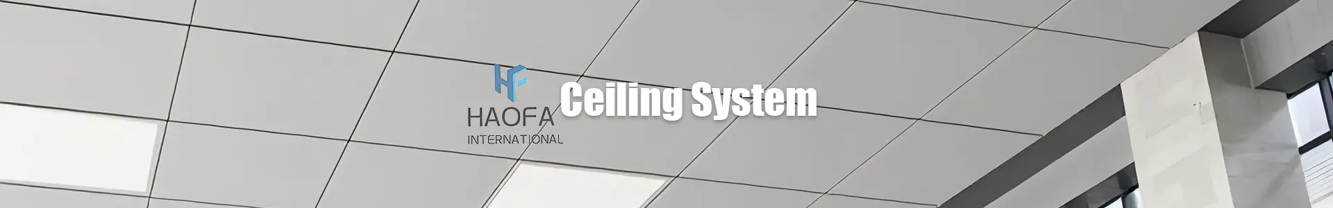 Ceiling System